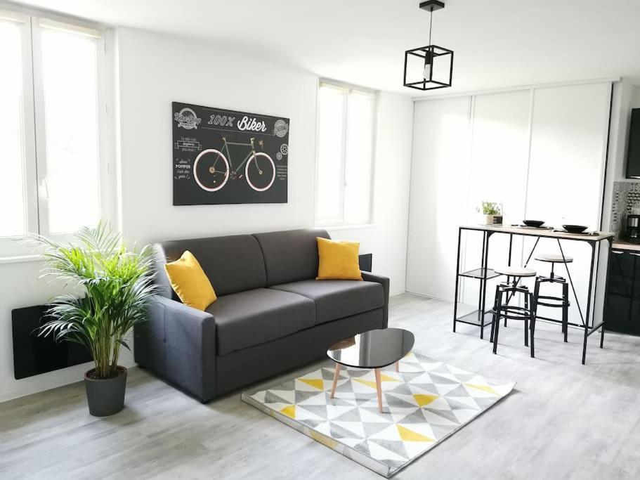 Appartement Le Biking *studio *